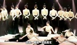 恒大歌舞团佳丽爆料视频,揭秘娱乐圈幕后真相